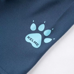 Комплект игровой формы KELME VALIENTE 