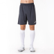 Шорты NOBEL Антрацит