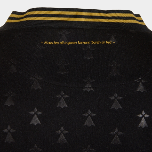 CAMISETA MANGA CORTA 3ª F.C. LORIENT