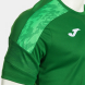 CAMISETA MANGA CORTA CHAMPIONSHIP VIII VERDE