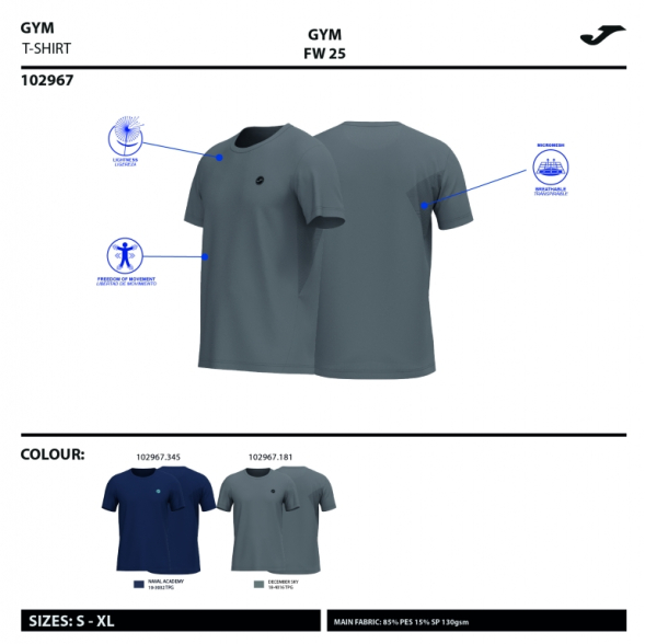 CAMISETA MANGA CORTA INDOOR GYM GRIS